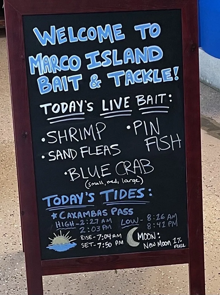 The shop chalkboard listing today’s live bait and tides